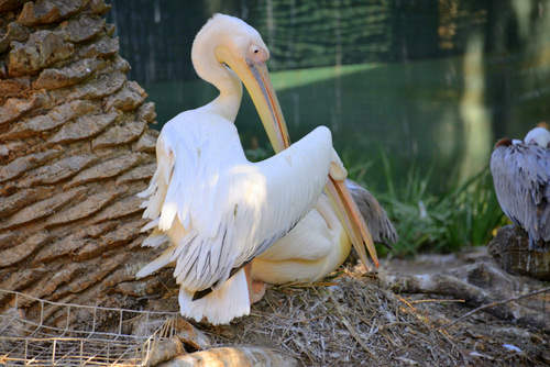 World of Birds Wildlife Sanctuary.